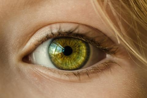 Optometric Practices Stock photo of a close-up human eye